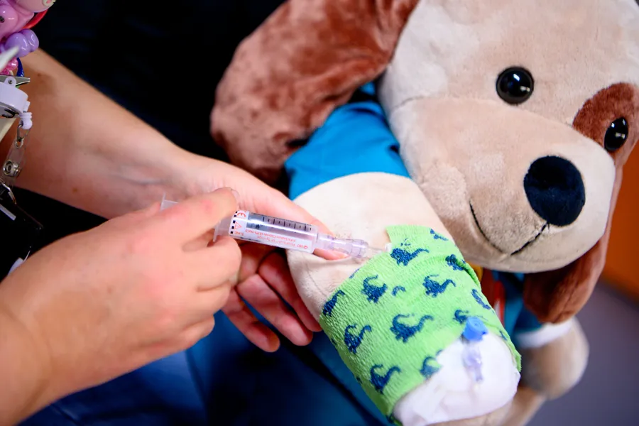 En kosebamse som får veneflon