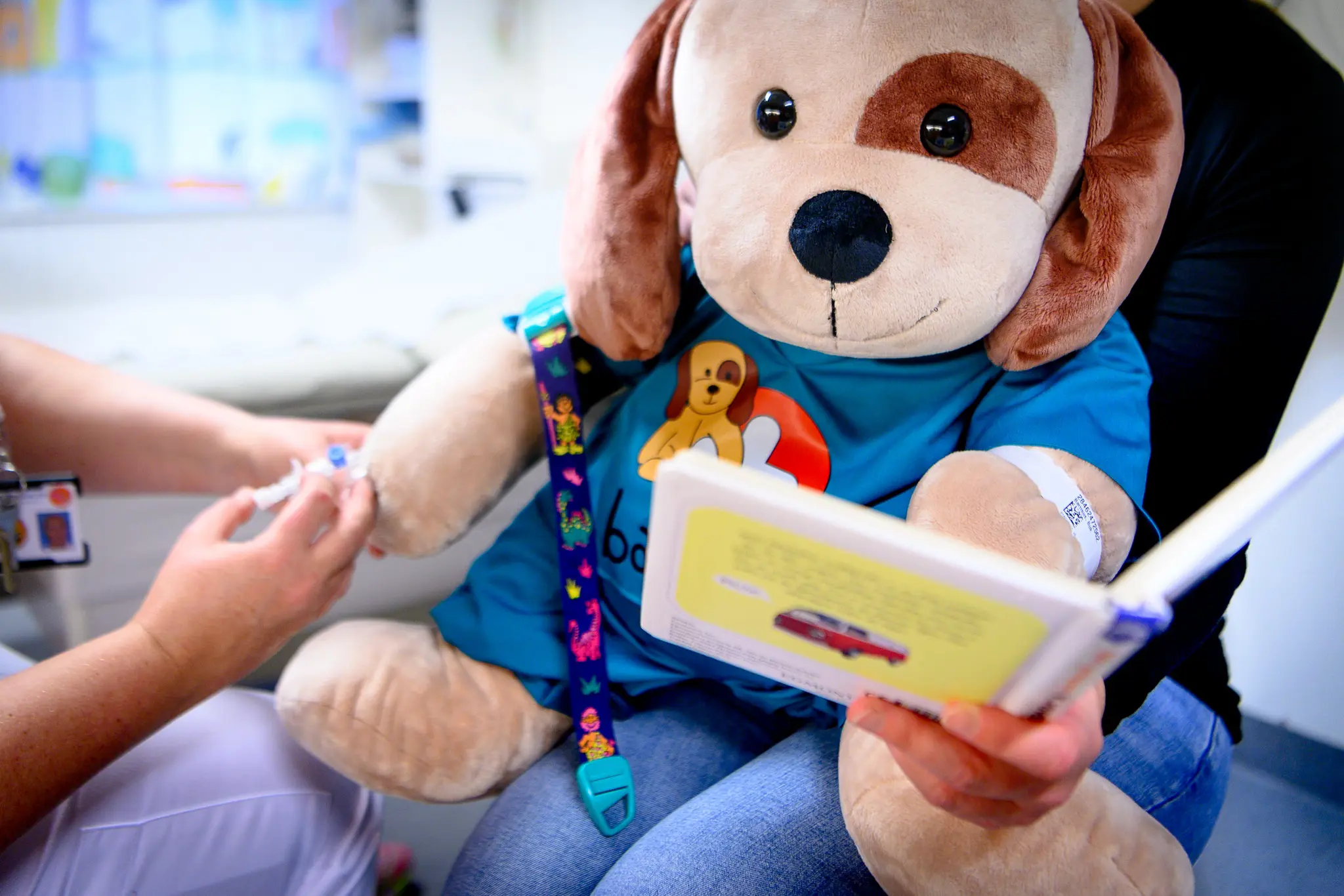En kosebamse som ser i en bok